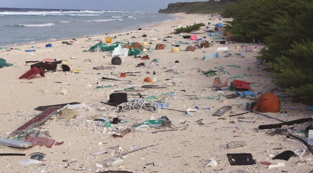 Plastic-free beaches and seabeds